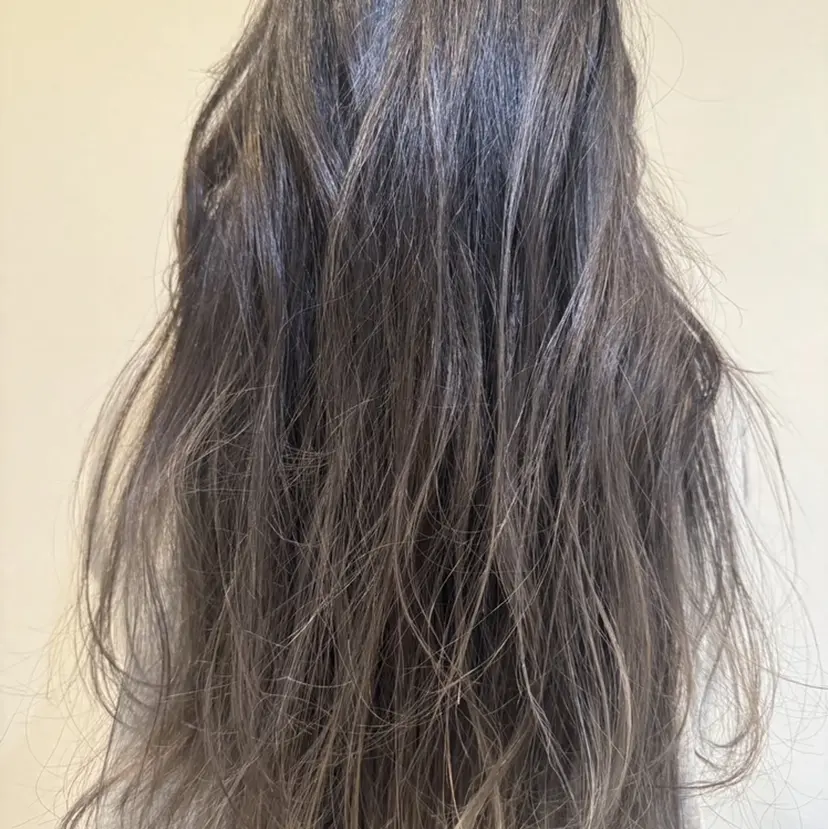 木村 まおの掲載