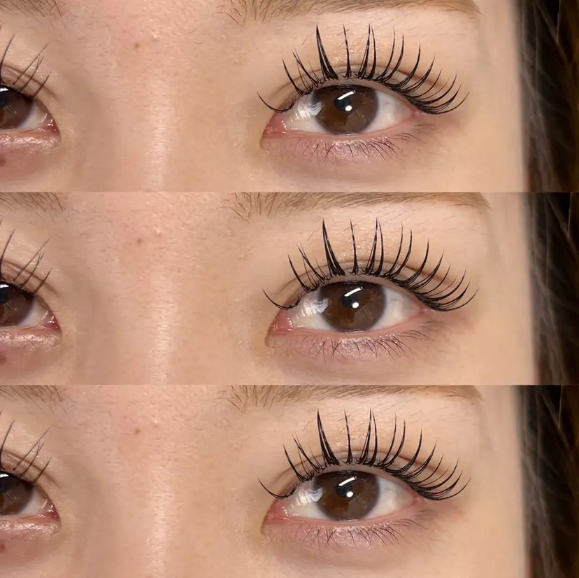 チュアリポノ 舩津の掲載