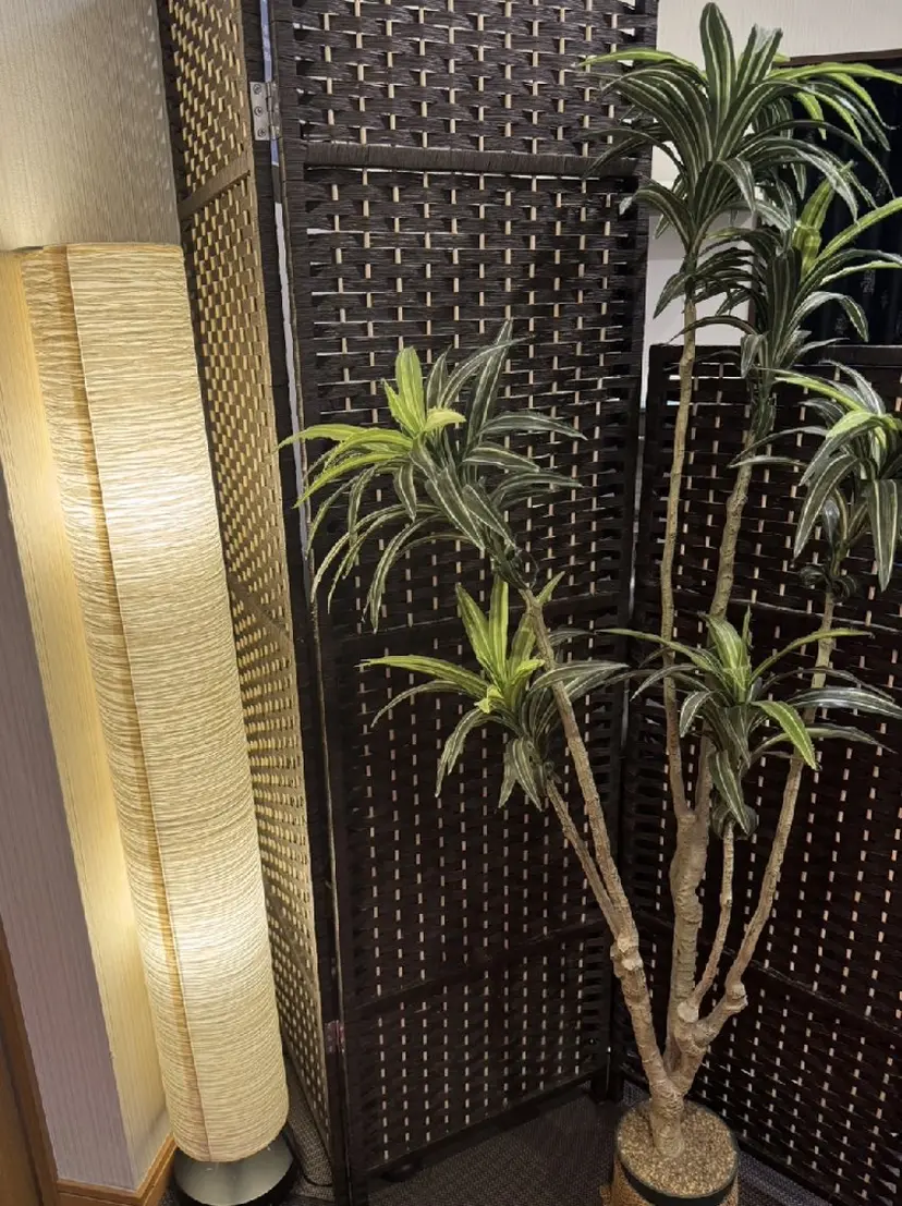 水素吸入/体質改善/ 温活/KENRINの掲載