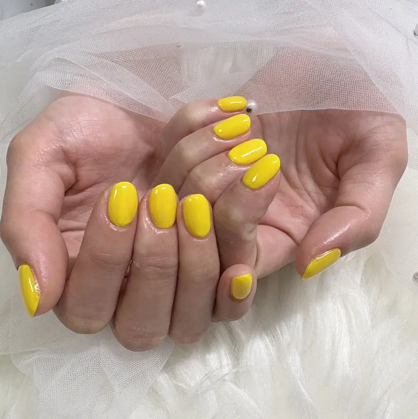 Beloved ailaの掲載