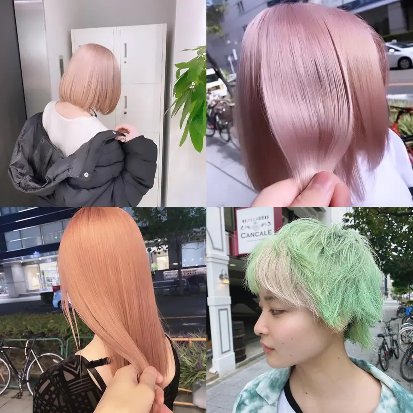 加藤 利基の掲載