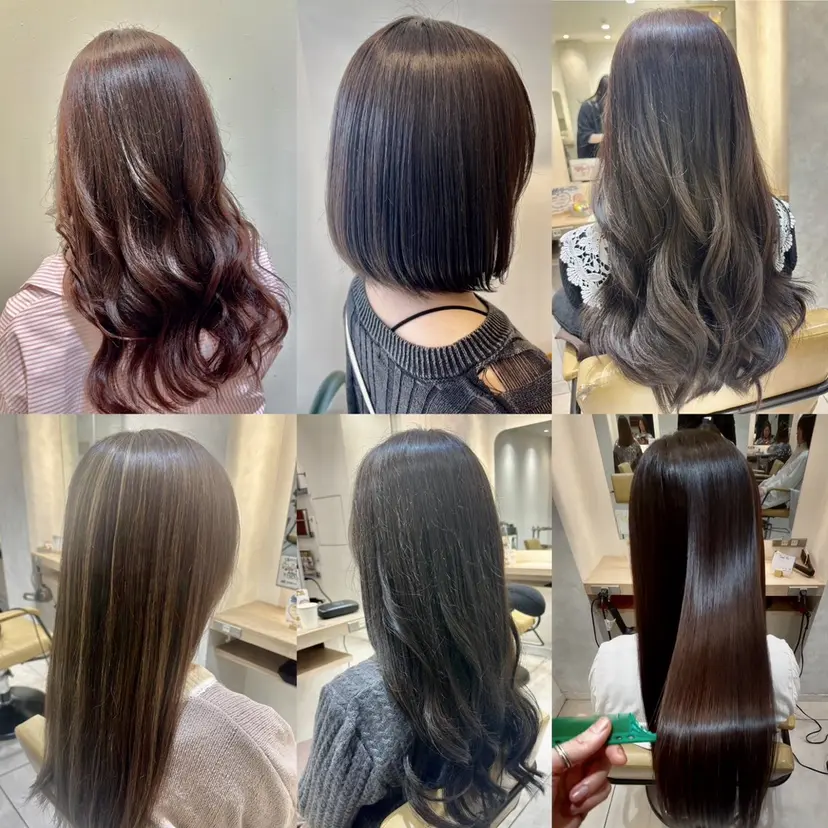 お客様満足度No.1 🐶柴田みどりの掲載