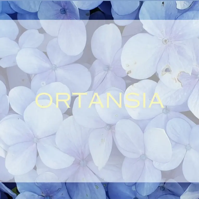 ORTENSIA 六本松の掲載