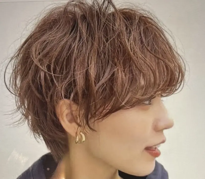 佐々木 梨乃の掲載