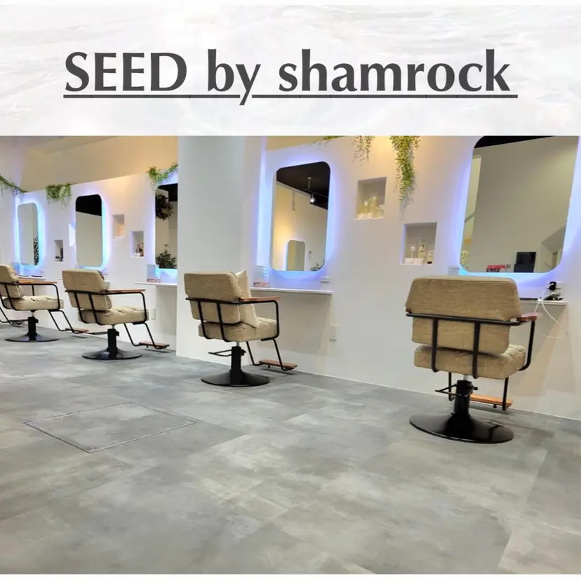 藤田 詩織の掲載