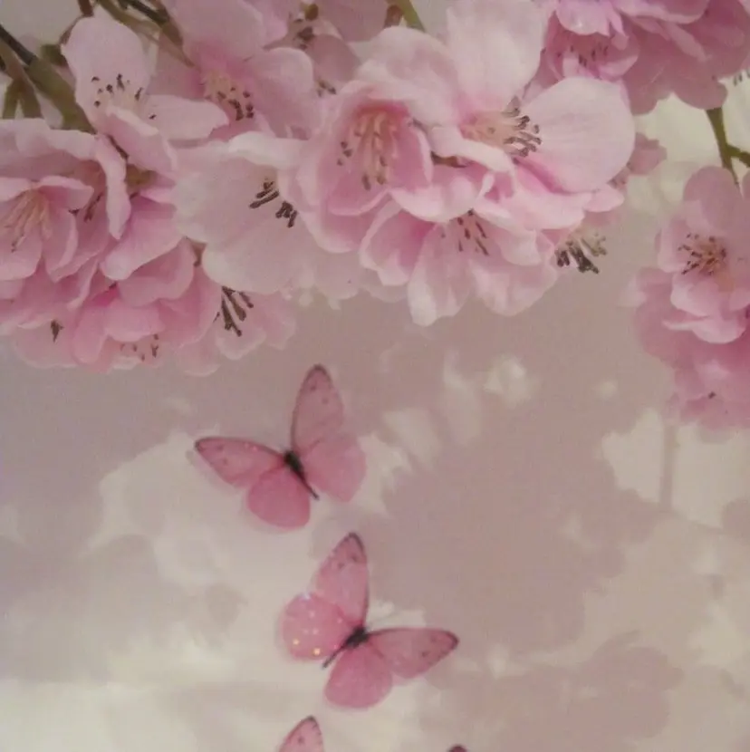 elua 京都駅前店の掲載