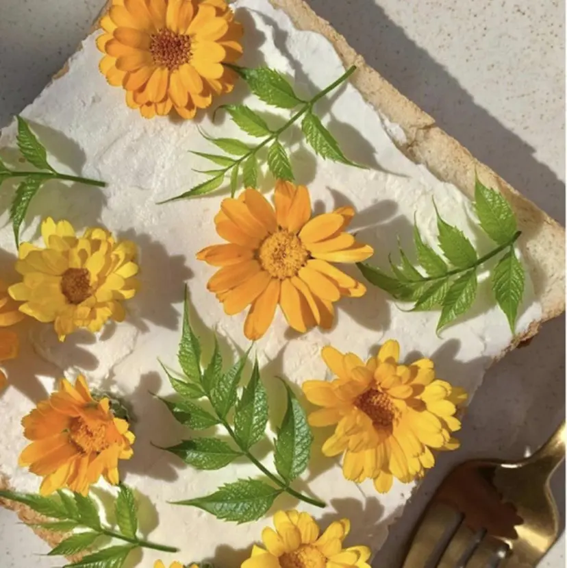 Very 井上の掲載