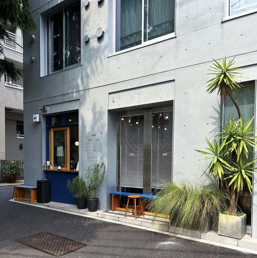 momo /ボブ/パーマの掲載