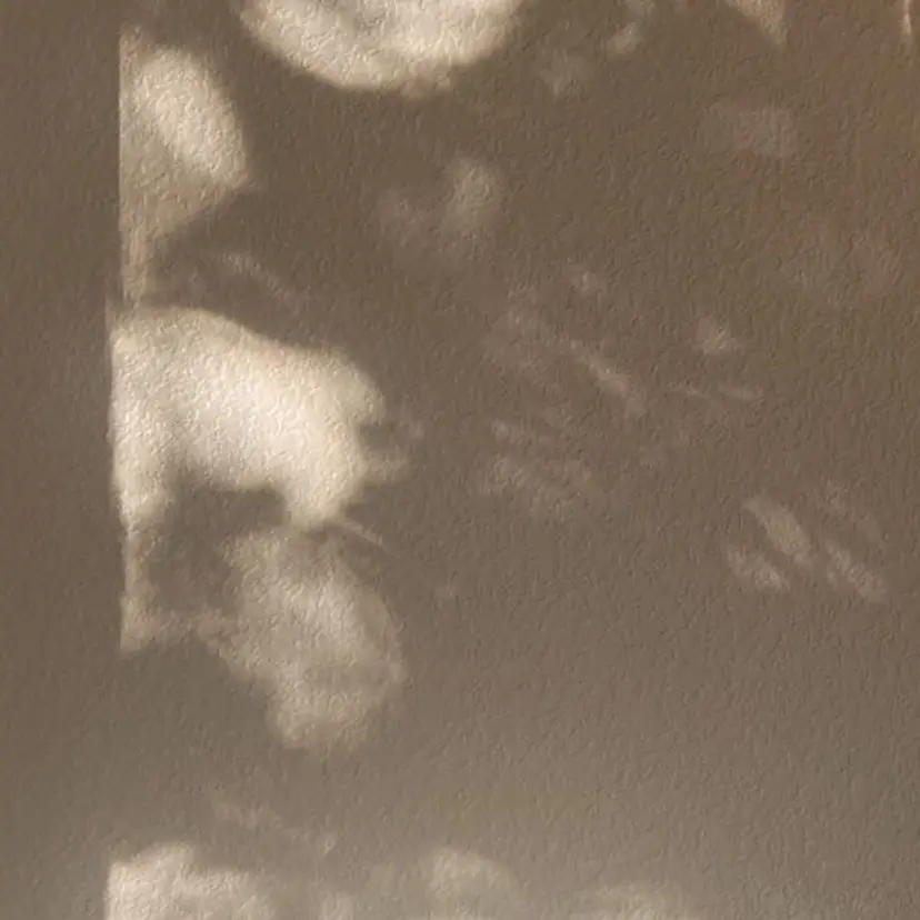 kana モデル様再募集中🔥の掲載