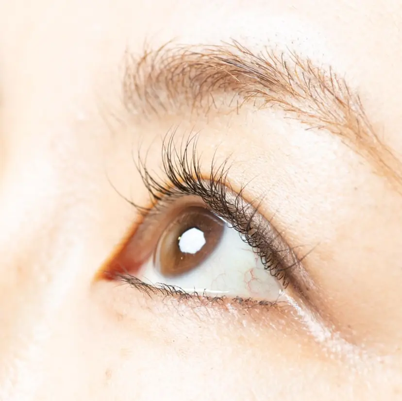 LASH ラッシュの掲載