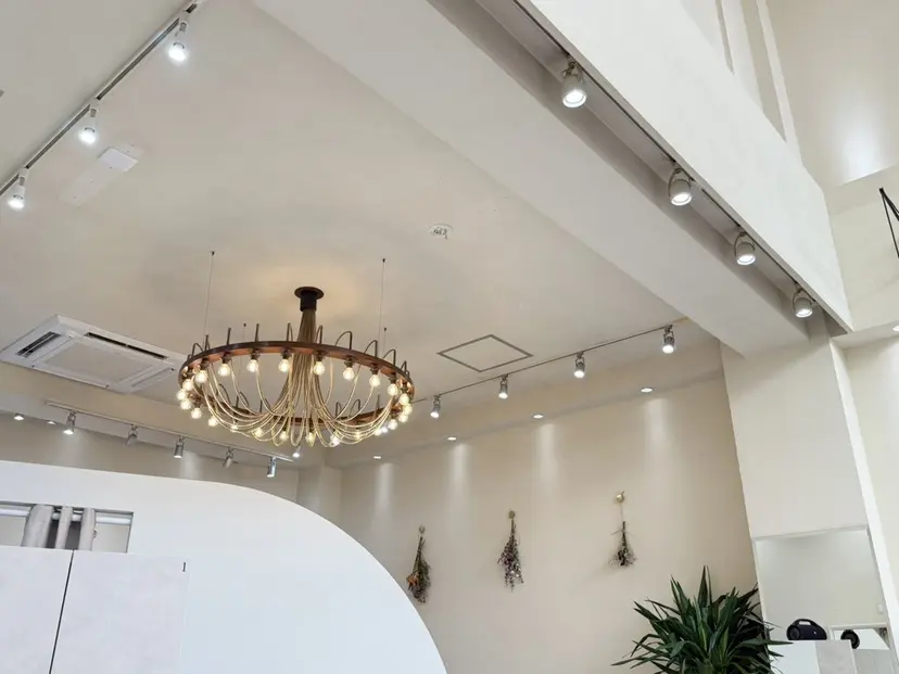 園田 奈津の掲載