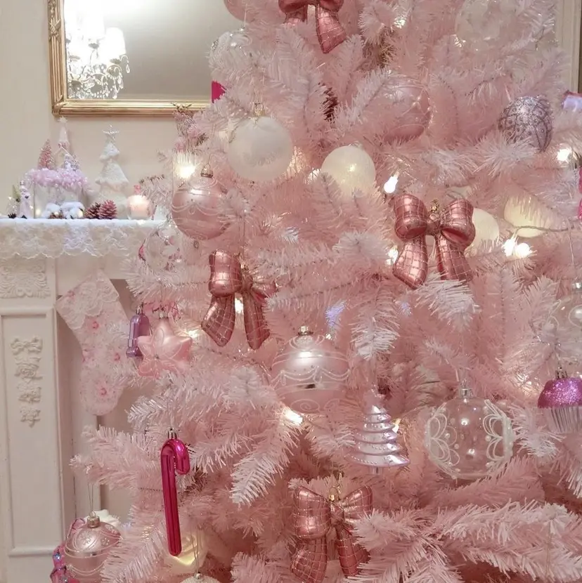 Neolive銀座/ SEIKAの掲載