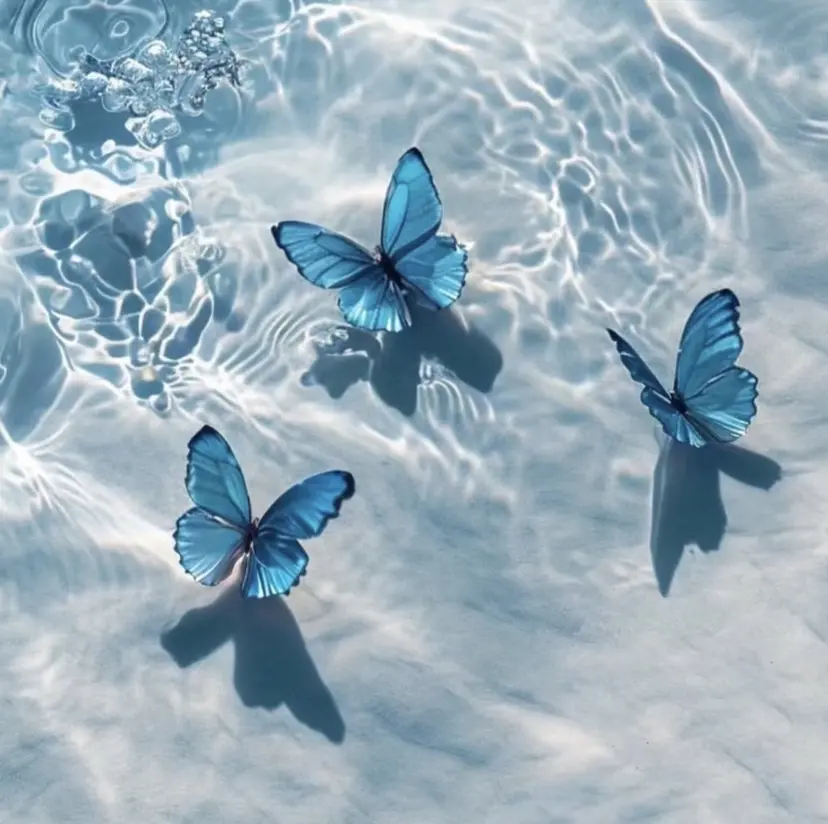 🦋Richelle beauty🦋の掲載