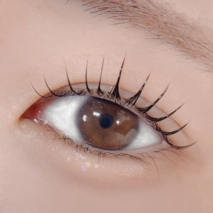 Chou2jip 竹田麗の掲載