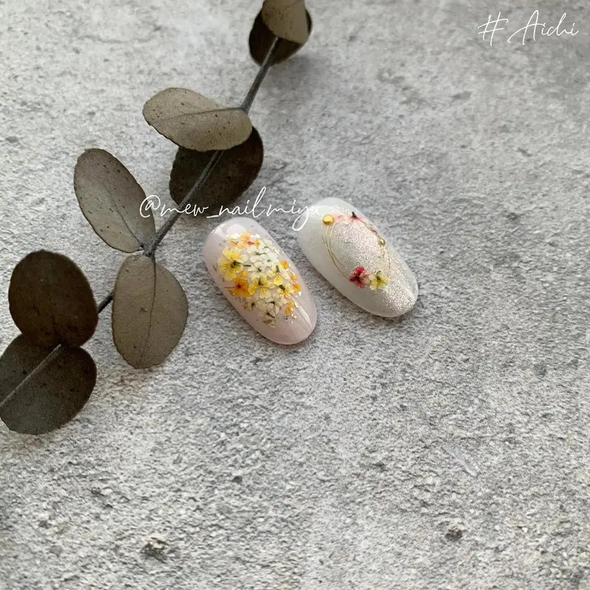 miyu ☺︎の掲載