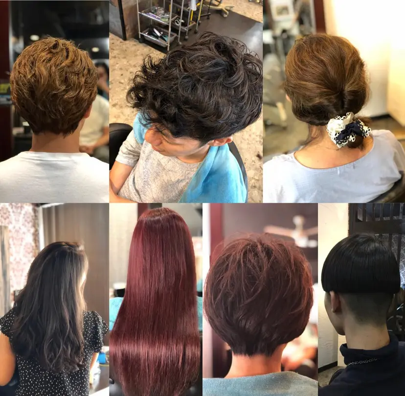 高木 達也の掲載