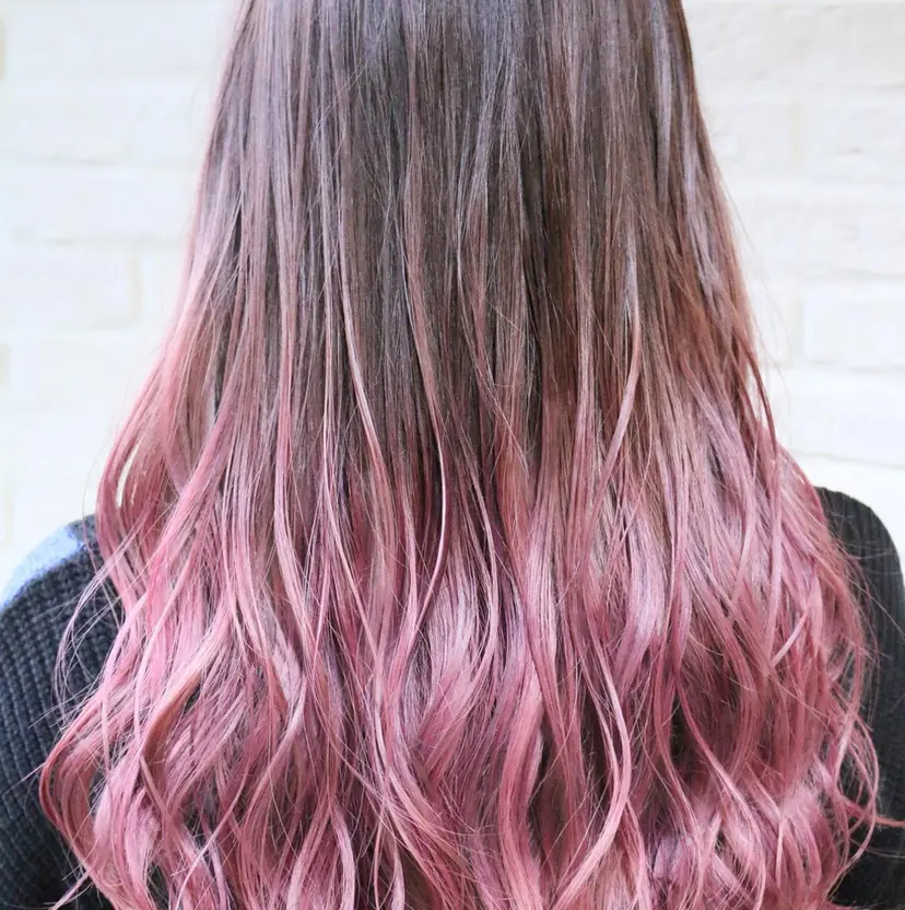 小松 郁斗の掲載