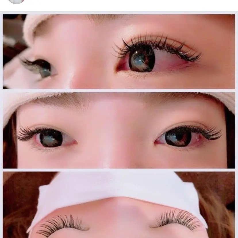 Dolly lash Teradoの掲載