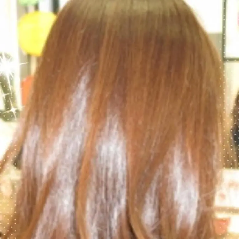 西田 力奈子の掲載