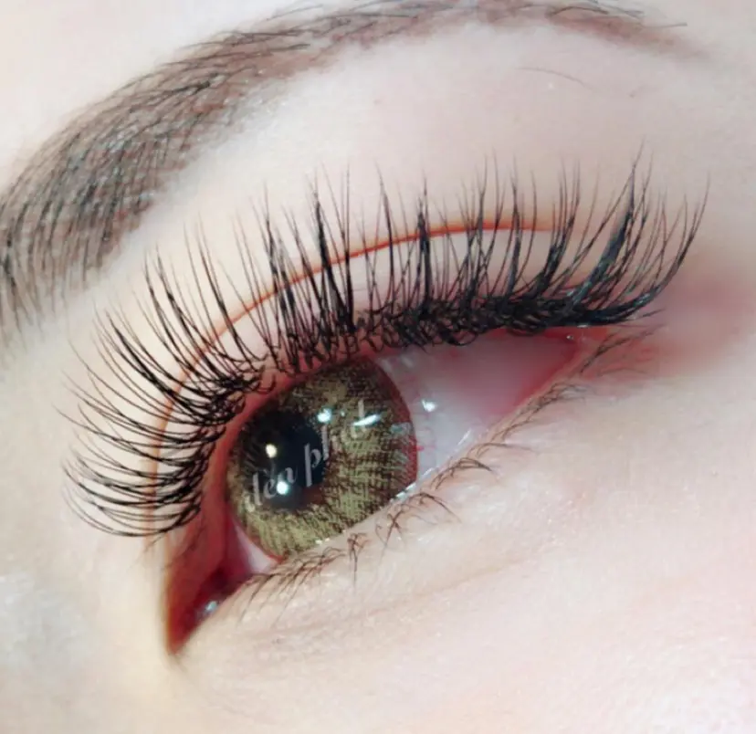 salon de denphalの掲載