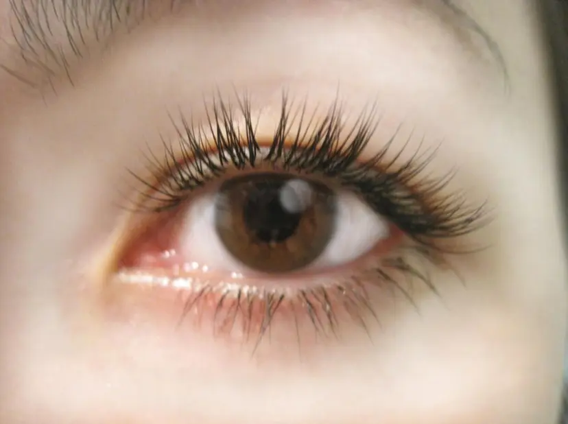 古川 恵美子の掲載