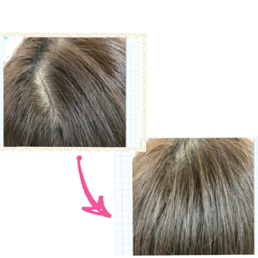 阿部 ジュンの掲載