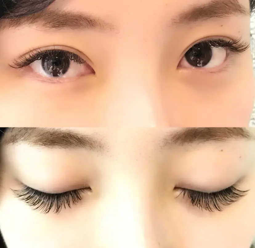 蓮見 美奈代の掲載