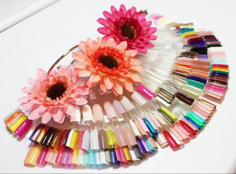 田村 恵理の掲載