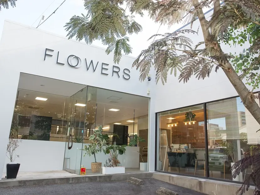 宮森 朱里の掲載