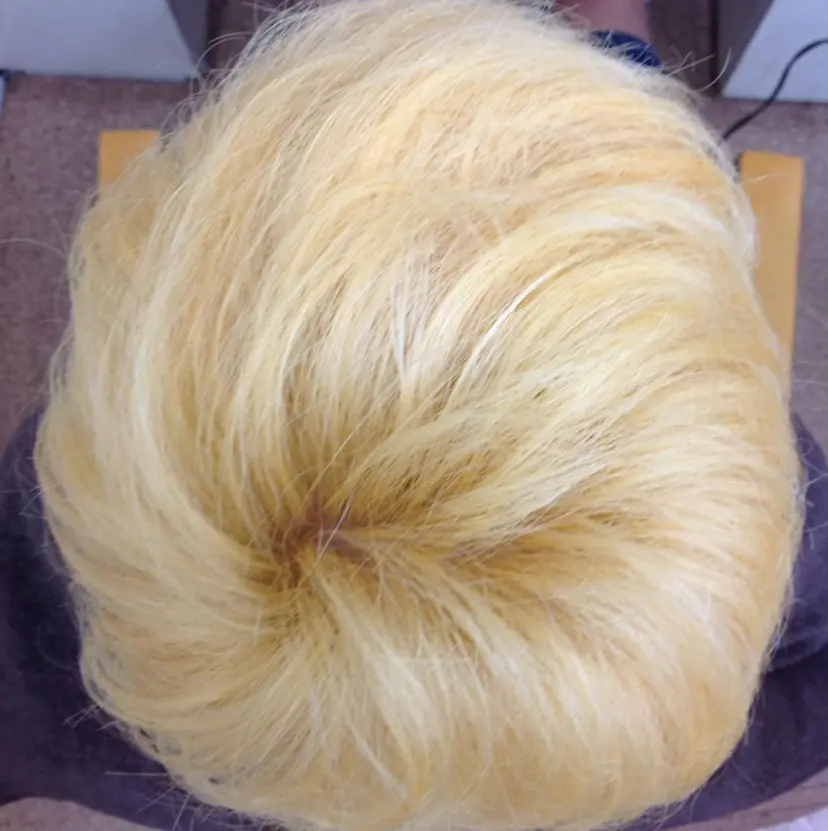 松岡 辰弥の掲載