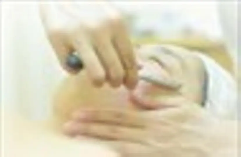 saitou kayokoの掲載