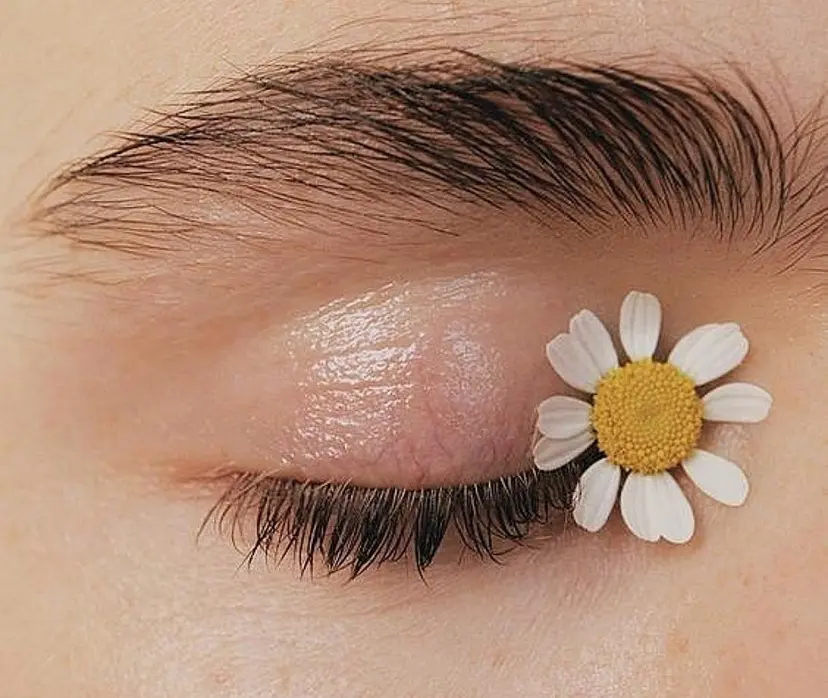 sola: neolive岡田の掲載