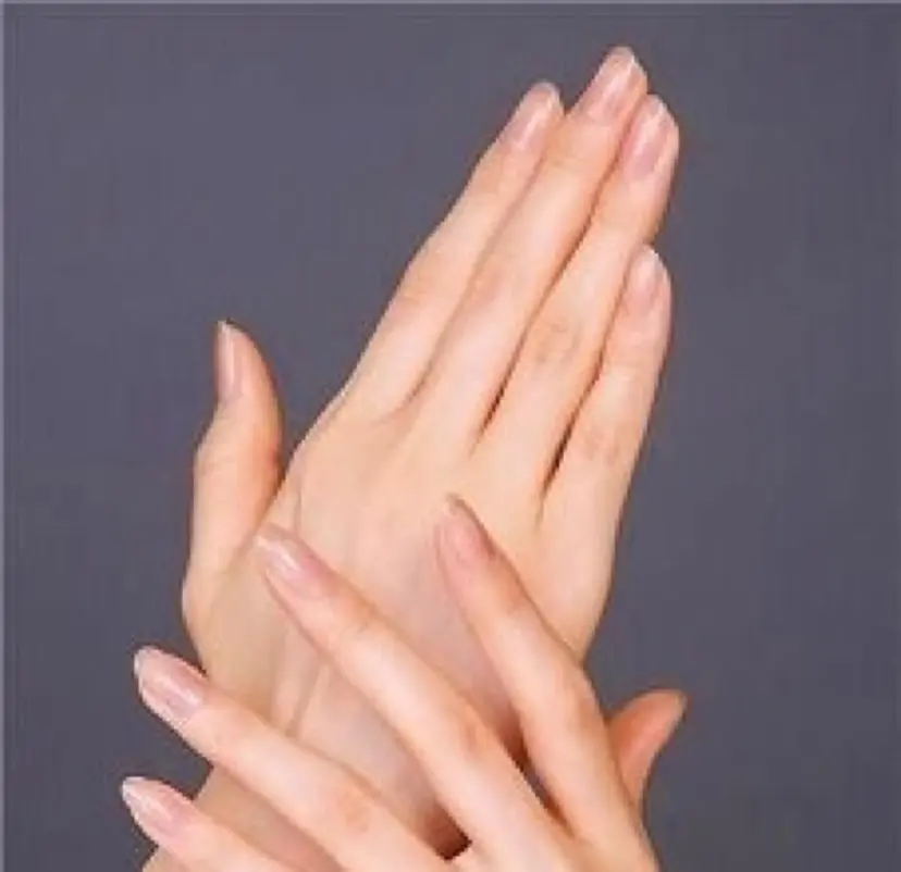 藤後 穂菜海の掲載