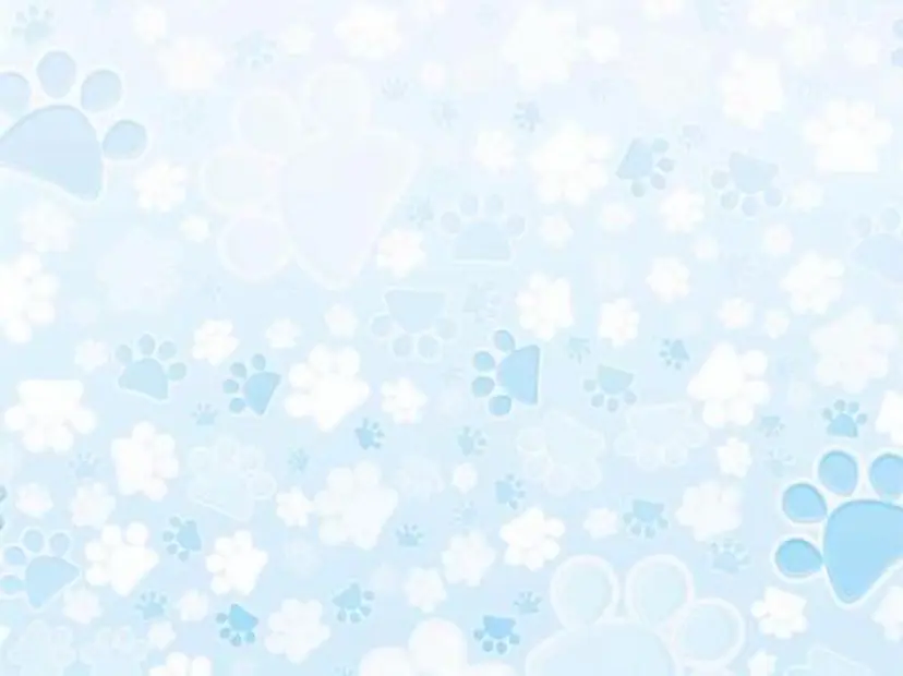 Lottynail 🫧Yuunaの掲載