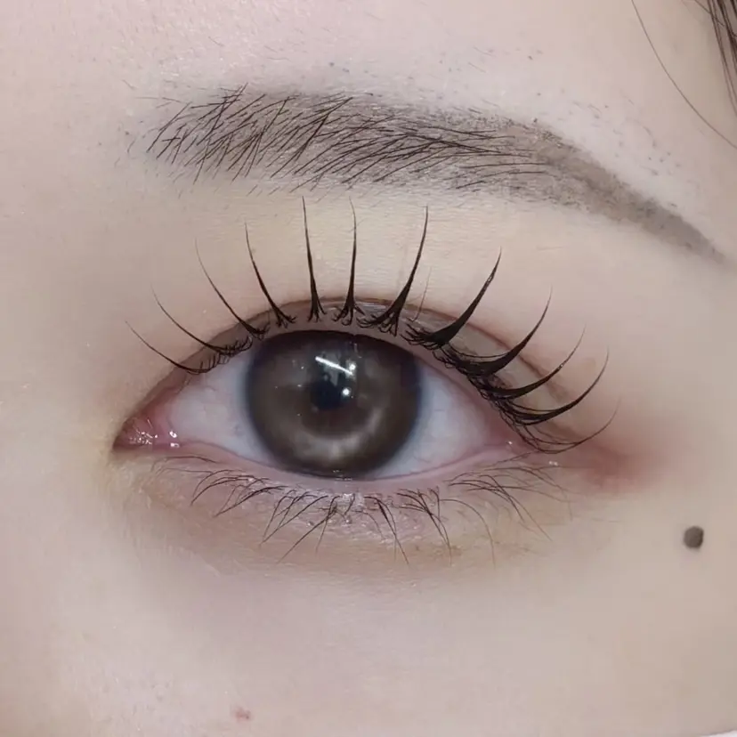 eyelist🎀 FUCHIWAKIの掲載