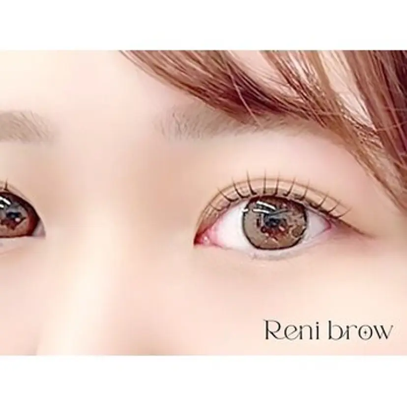 Renibrow トミダの掲載
