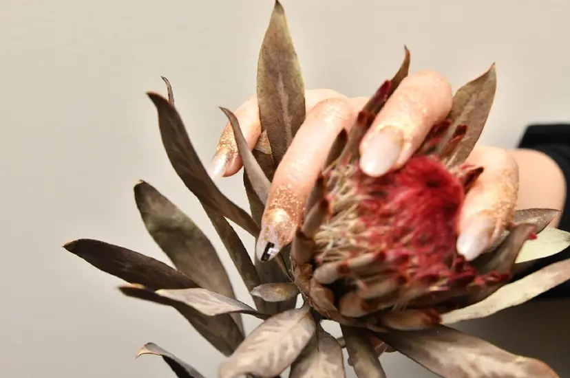 ROUN' 齋藤の掲載