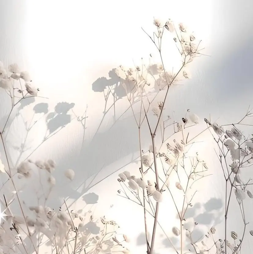 フェイシャルエステ Misaの掲載