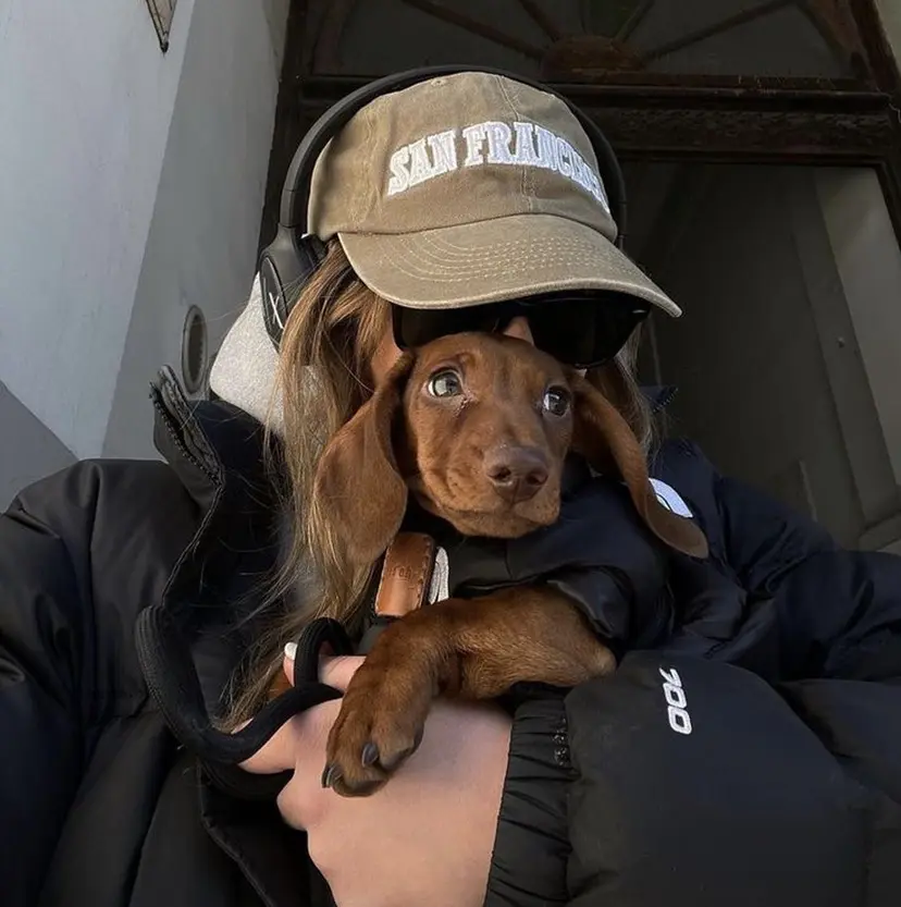 ｱｵﾇﾏﾐﾕ☁️ /ボブ/ハイトーン/の掲載