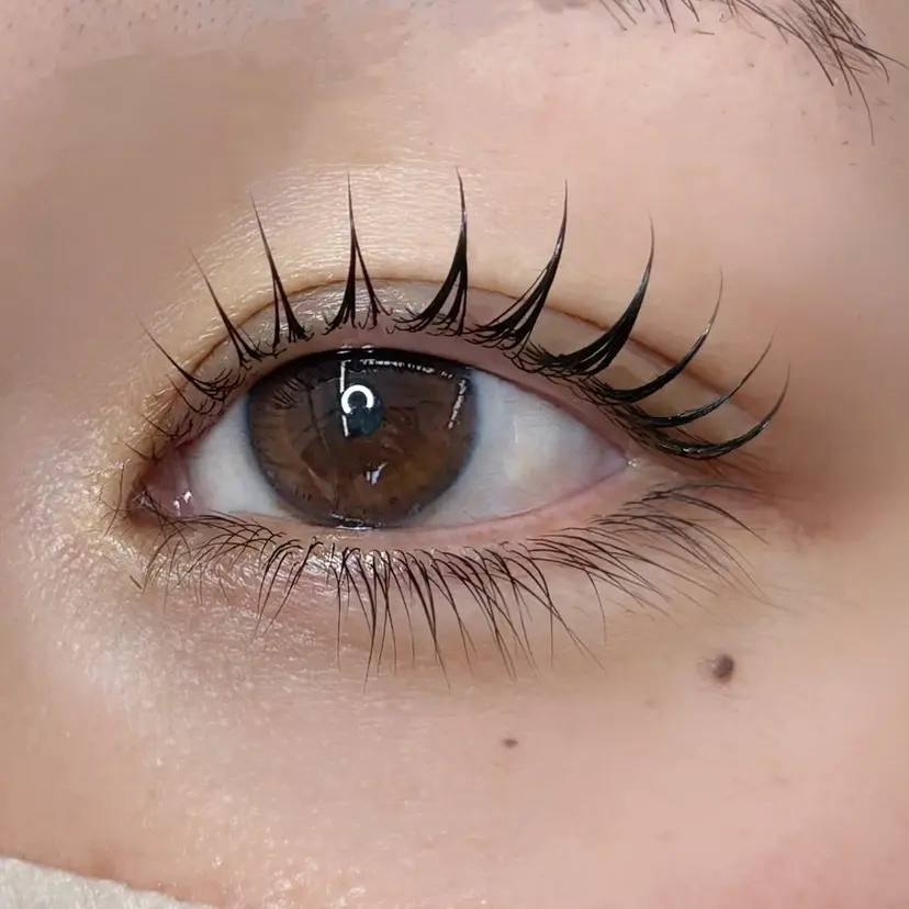 LASHmuse MISAKIの掲載