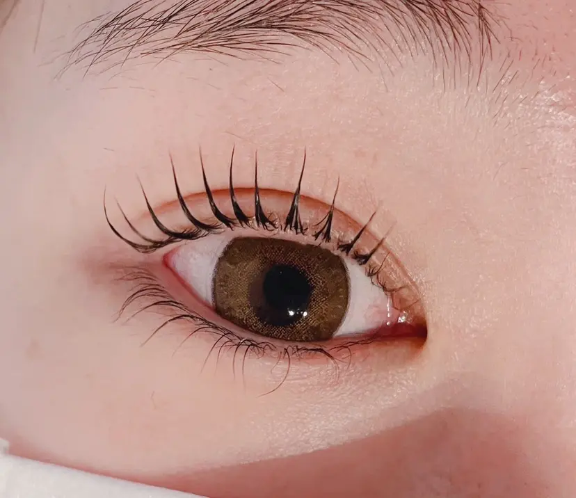 chicca miyoの掲載