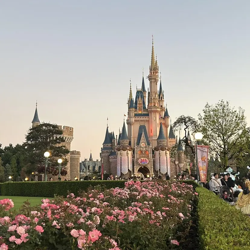 二ツ石 舞幸の掲載