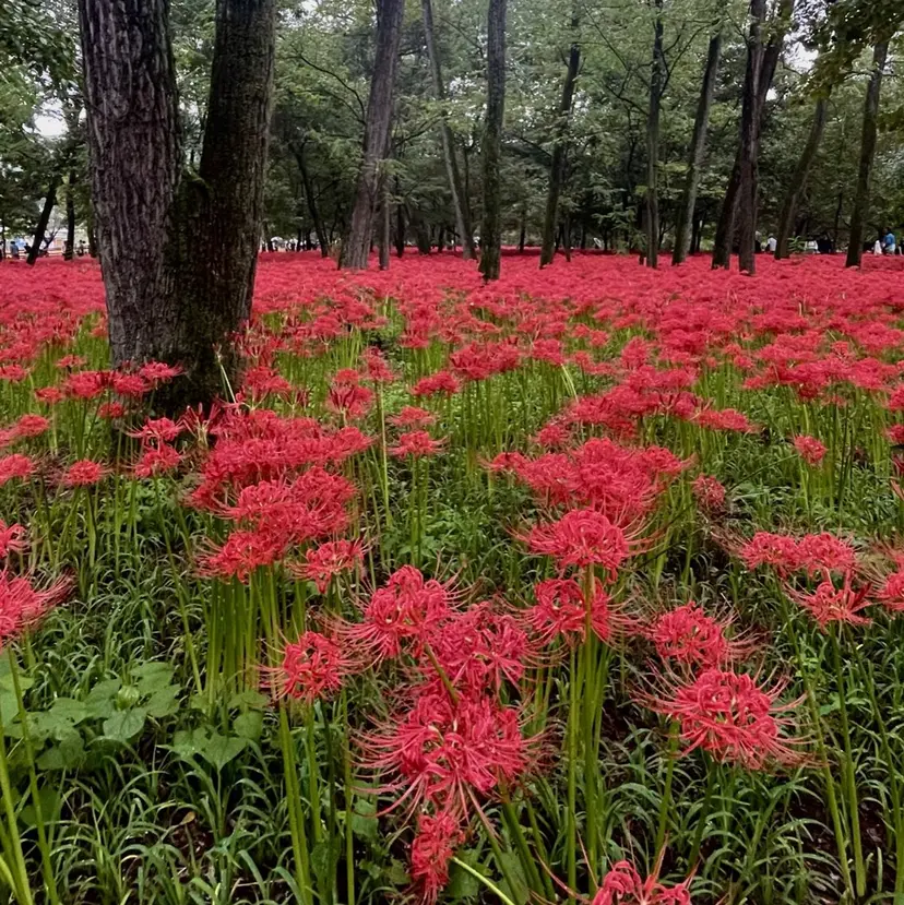 Libero 柏/ のぐち  ゆうきの掲載