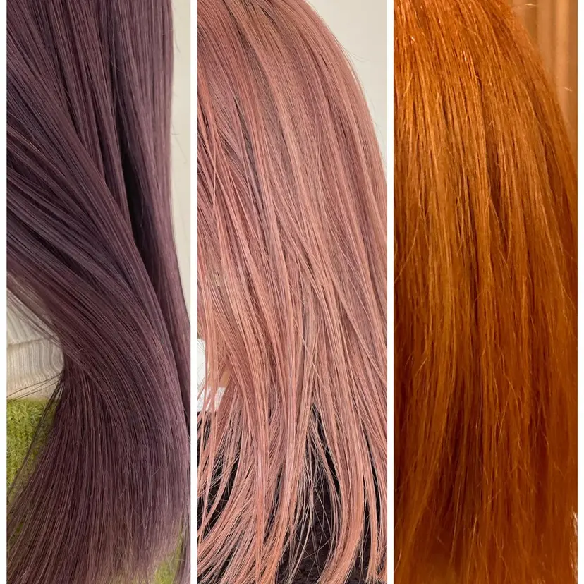 藤本 豪海の掲載