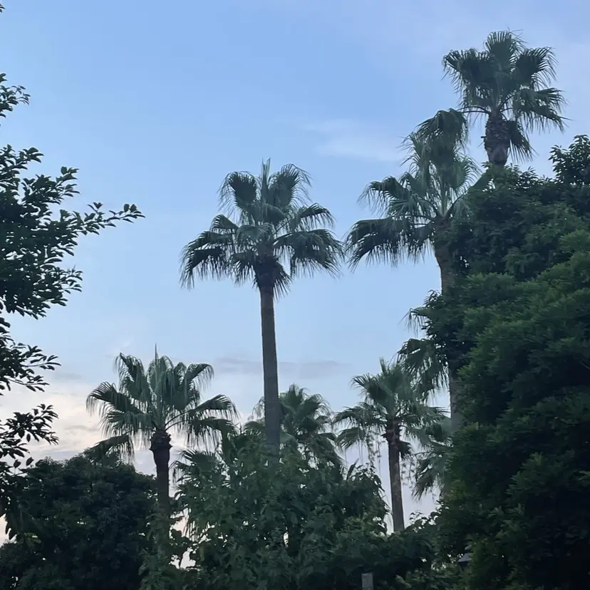 CURAR茅ヶ崎店 setsunaの掲載