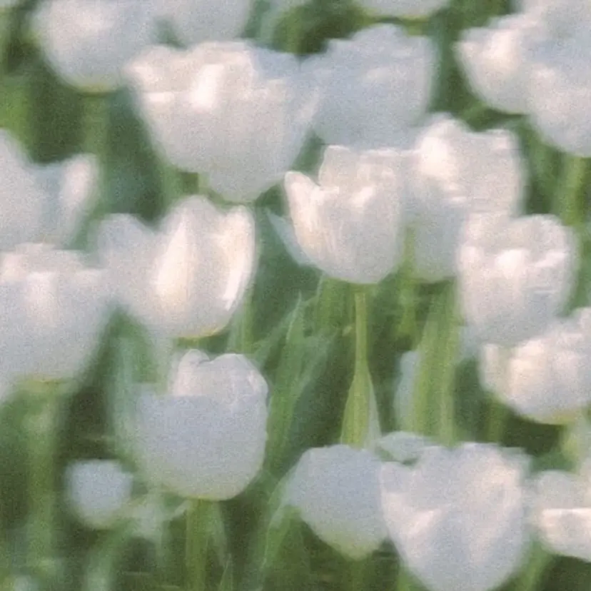 eight池袋 🌛TAMAKIの掲載