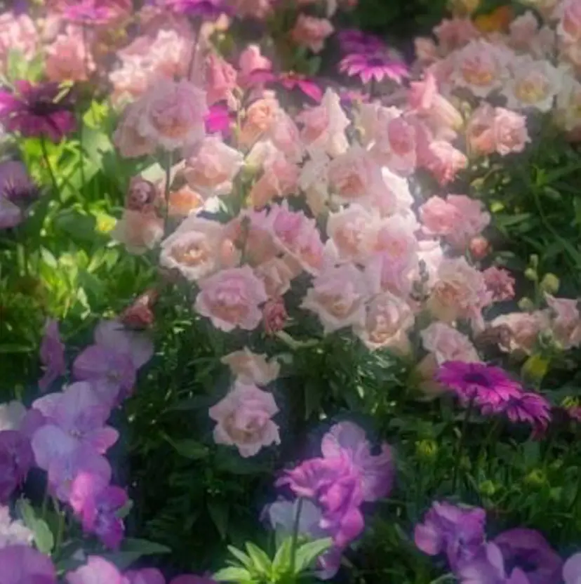 艶カラー 仲間純子🪼の掲載