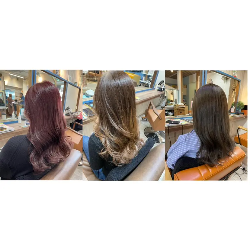 山本 陸央の掲載