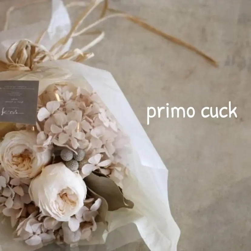 磧本 祐里恵の掲載