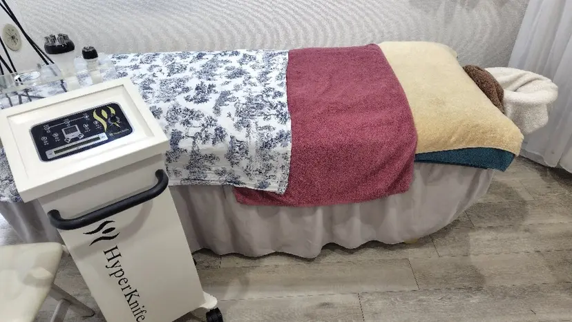 サロン ドゥトレフル アロマハイパーナイフの掲載